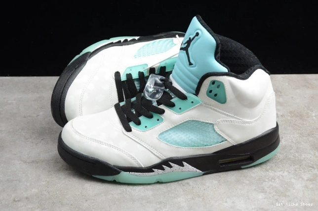 1st Kicks Shoes 5 Island GoAnywhere CN2932- Jordan Air Green 1087 1127